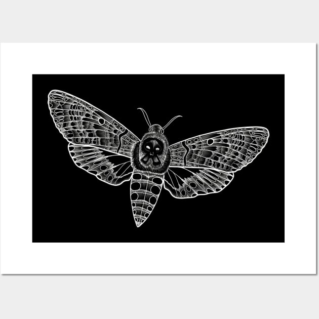 Death head moth sketch Wall Art by Raccoon.Trash